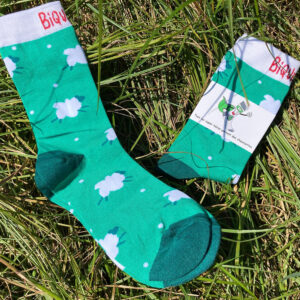 Chaussettes Biquette