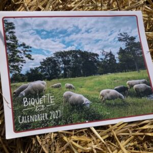 Calendrier Biquette 2027